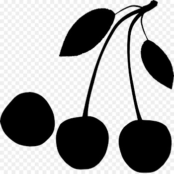 Clip art Fruit Plant stem Leaf Product design -  