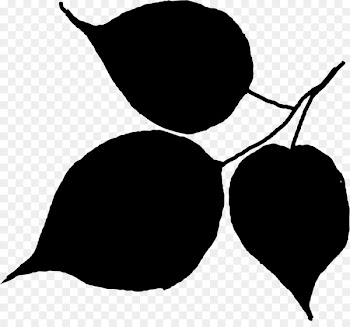Clip art Fruit Silhouette Line Flowering plant -  