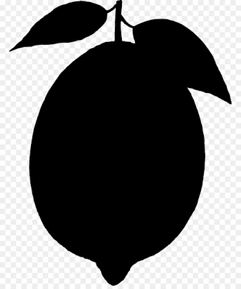 Clip art Fruit Silhouette Line Flowering plant -  