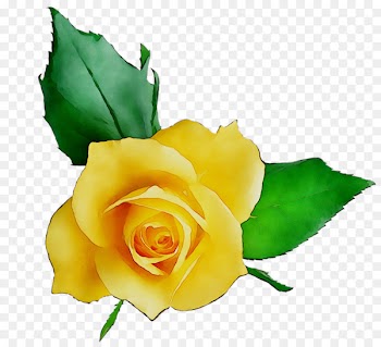 Clip art Garden roses Portable Network Graphics Image Doraemon -  
