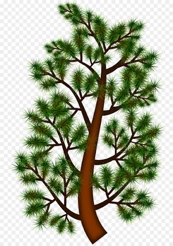 Clip Art: Graphic Borders Image Vector graphics Portable Network Graphics - tree 