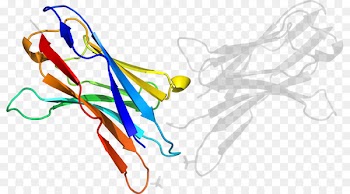 Clip art Graphic design Line art Point - aavp7 a1 