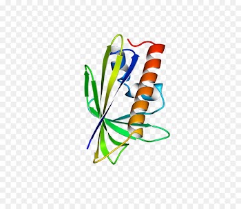 Clip art Graphic design Line Point Leaf - asimetric illustration 