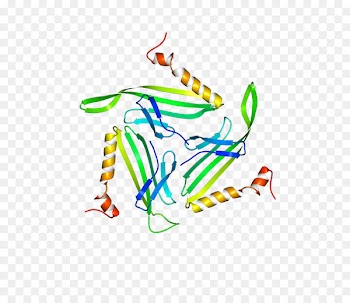 Clip art Graphic design Product Logo - bacteriophage ribbon 