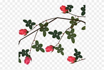 Clip Art Graphics - Roses With Thorns Png
