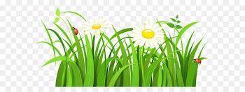 Clip art - Grass with Daisies and Lady bugs PNG Clipart 