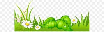 Clip art - Grass with Daisies Ground PNG Picture 