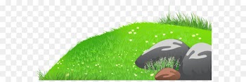 Clip art - Grass with Stones and Daisies PNG Clipart Picture 