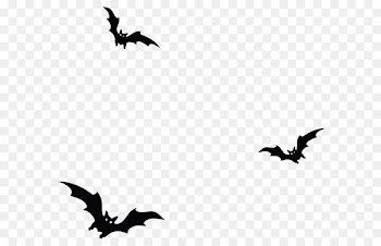Clip art - Haunted Bats PNG Vector Clipart 