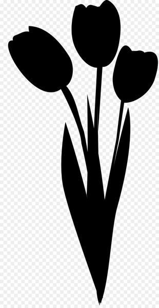 Clip art Heart Flowering plant M-095 Plants -  