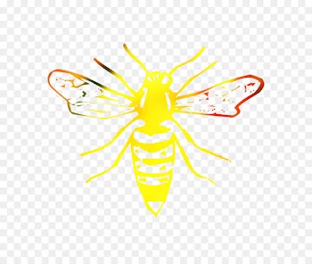 Clip art Honey bee Vector graphics Illustration Image -  