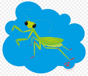 Clip art Illustration Beetle T-shirt Clothing - mancis 