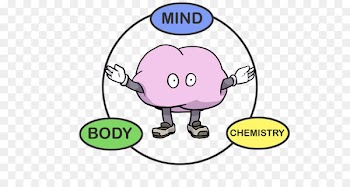 Clip art Illustration Brand Human behavior Logo - kinesiology frame 