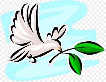 Clip art Illustration Doves as symbols Vector graphics Image - colombepng vector 