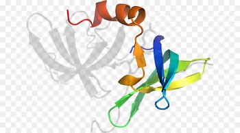 Clip art Illustration Flower Graphic design Product - vma 