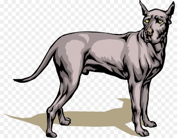 Clip art Illustration Great Dane Vector graphics Image - dane vector 
