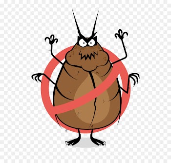 Clip art Illustration Insect Food Cartoon - atmosphere infographic 
