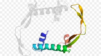 Clip art Illustration Product Human behavior Organism - kja 