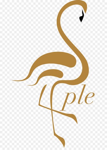 Clip art Illustration Product Logo Beak - audition banner 