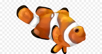 Clip art Illustration Vector graphics Clownfish Drawing -  