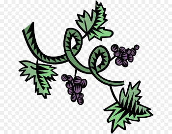 Clip art Illustration Vector graphics Image Portable Network Graphics - convalescent vector 