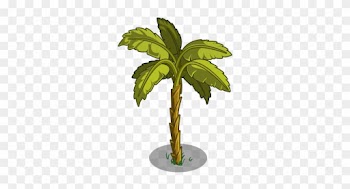 Clip Art Ilration Of A Tropical Banana Tree - Cuban Banana Tree