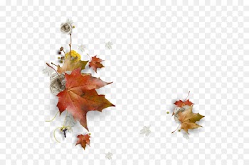 Clip art Image Autumn WhatsApp GIF - dried flowers 