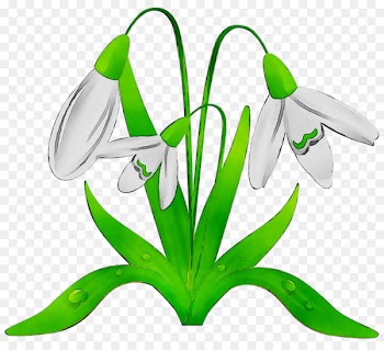 Clip art Image Cartoon Portable Network Graphics Computer Icons -  