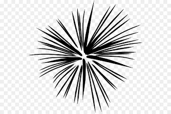 Clip art Image Openclipart GIF Fireworks -  