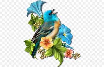 Clip art Image Portable Network Graphics Bird Painting - portulaca cartoon 