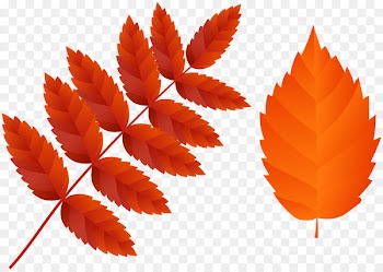 Clip art Image Portable Network Graphics Leaf JPEG - darkened graphic 