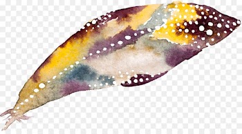 Clip art Image Watercolor painting Feather Vector graphics - turkey feather 