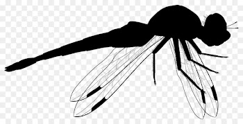 Clip art Insect Product design Line art -  