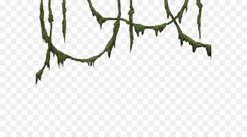 Clip art - Jungle PNG Photo 
