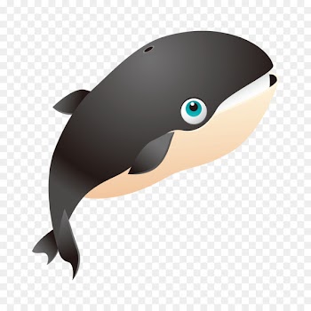 Clip art Killer whale T-shirt Whales Vector graphics - marine mammals 