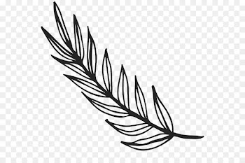 Clip art Leaf Drawing Plants Sketch - leaf rubber stamps 