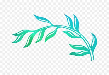 Clip art Leaf Portable Network Graphics Plant stem Tree -  