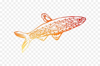 Clip art Line Fish -  
