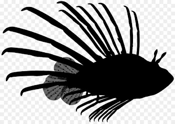 Clip art Line Invertebrate Silhouette Black M -  