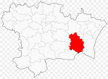 Clip art Line Point Tree - canton of tarbes1 
