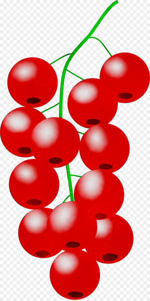 Clip art Lingonberry Cherries Fruit Grape -  