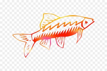 Clip art Logo Line Fish Orange S.A. -  