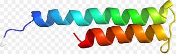 Clip art Logo Product design Line - aavp7 a1 