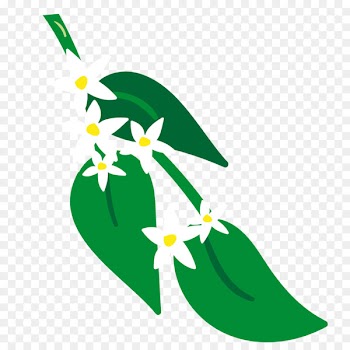 Clip art Lotion Image Portable Network Graphics Illustration - botanic pictogram 