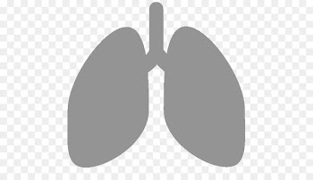 Clip art Lung Silhouette Portable Network Graphics Pulmonology - silhouette 