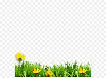 Clip art - Meadow 