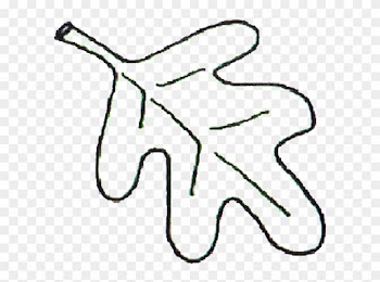 Clip Art - Oak Leaf To Color