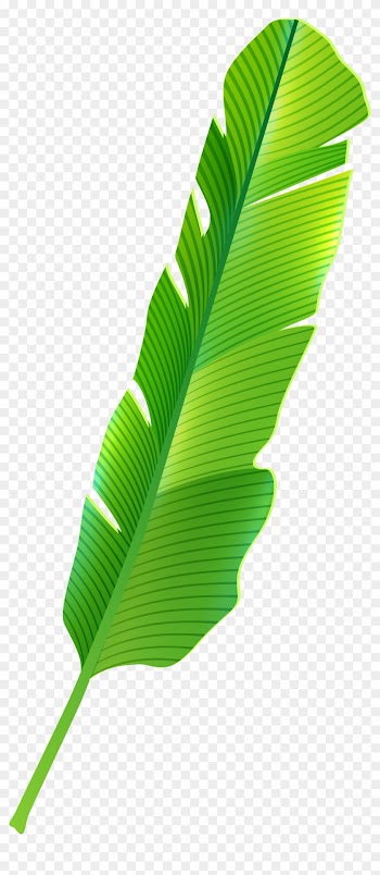 Clip Art Of Banana Leaf Tropical Png Best Web Clipart - Tropical Leaf Png