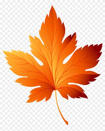 Clip Art Of Fall Leaves Decorative Branch With Autumn - Fall Leaf Clip Art