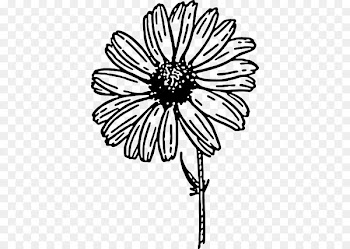 Clip art Openclipart Common daisy Drawing Image - margarita negra 